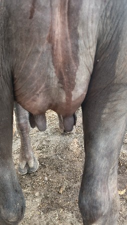 આ