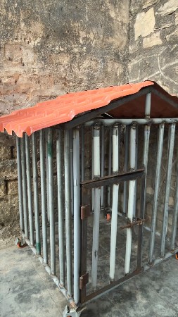 kutra nu panjru