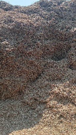 ગિરનાર ચાર મગફળી નો પાલો વેચવાનો