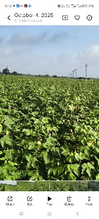 જમીન વેચવાની છે 42 વિઘા