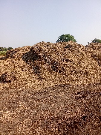 મગફળી નો પાલો વેચવાનો છે