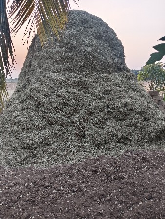 ભૂકો વેચવાનો છે