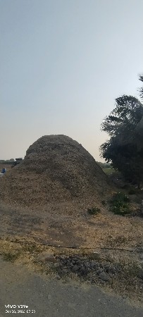 ભૂકો (પાલો) વેચવા નું છે