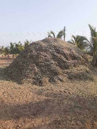 માંડવી નુ મગોટું