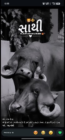 લેવાનીજ સે ગમેઈ