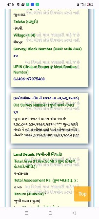 11 vigha