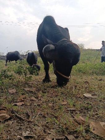 ખોતા ફોન નં  કરવા વીડીયો કે ફોત
