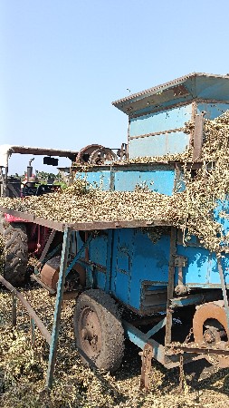 થેસર