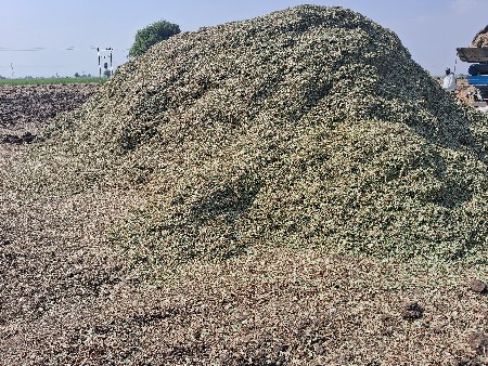 જી 22 માંડવી નો ભુકો