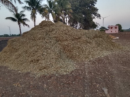 માંડવી નો પાલો વેચવા નો છે