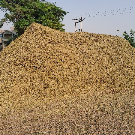 મગફળી નો પાલો વેશવાનો