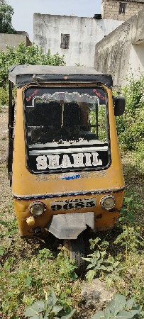 2006 model