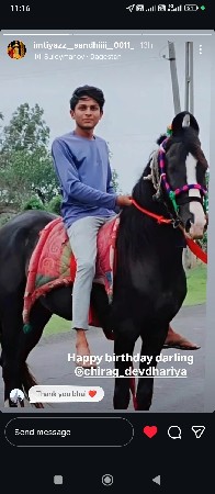 નારી ઘોડો સે