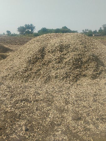 મગફળી નો ચારો (પાલો) વેચવાનો છે.
