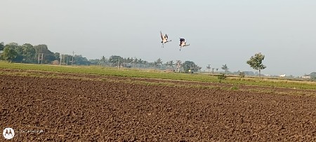 જમીન વેચવાની છે