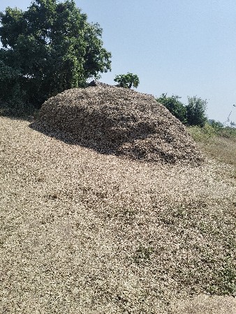 મગફળી નો પાલો વેચવાનો છે