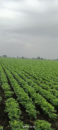 હું mp નો મજૂર છે અને ભાગ્યું