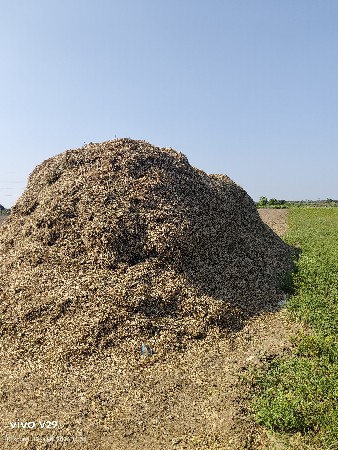 મગફડી નુ મોગોટુ વેચવાનુ છે