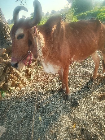જવાબદારીથી ્