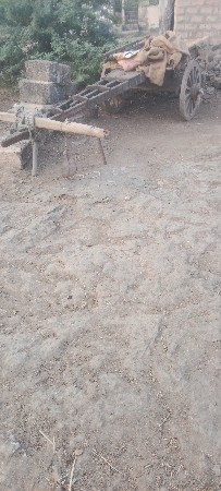 બડદ.ગાડૂ