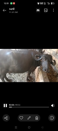 વેચવાની છે