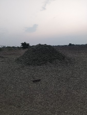 20 નંબર મગફળી