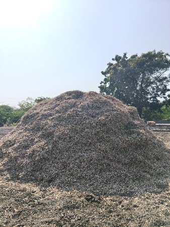 માડવિ નો ભુકો વેચવાનો છે
