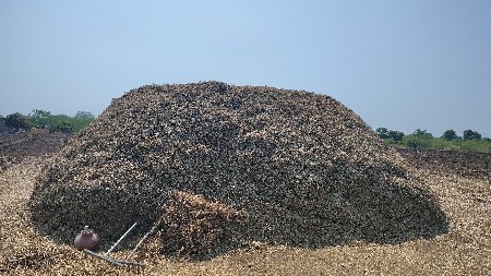 ગીરના ચાર પાલો