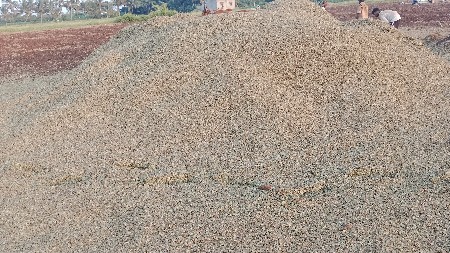 girnar mandavi ni pani