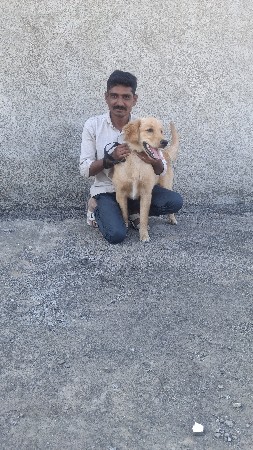 વેચવાનો છે