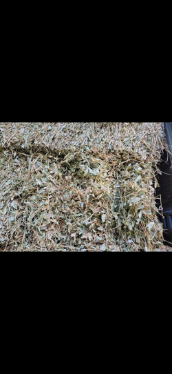 જો તમને મગફળીનો પાલો (ભૂસો) વેચવાનો છે.