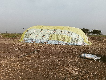 નો ભૂકો વેસ્વાનો સે