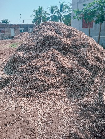 ત્રણ વીઘા નો માંડવીયો વેચવાનો