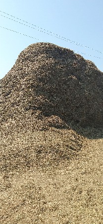 madviyu