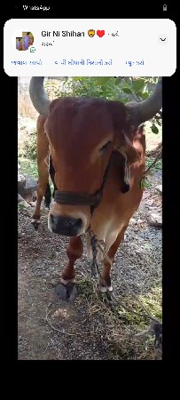 વેચવાની છે