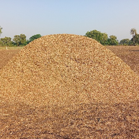 જી 20 માંડવી નો ભૂકો વેચાવ છે