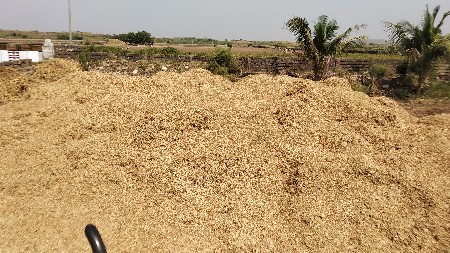 મગોટુ  22  વીઘા નું છે