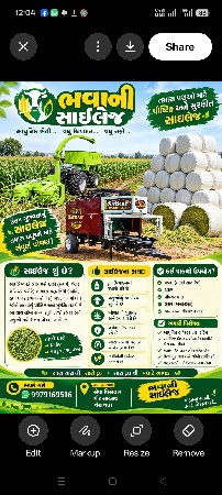 પ્યોર મકાઈ સાઇલેજ