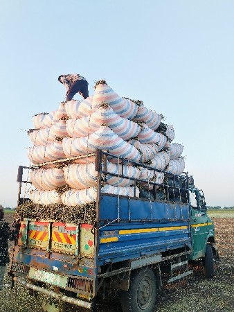 ભૂકો લેવા માટે કોન્ટેક્ટ કરો