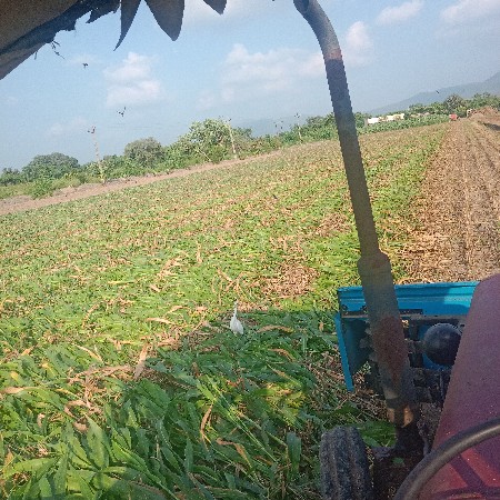 જવાહર વાઢવાની હોય તો સંપર્ક કરો