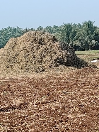 39 નું વેચવાનું છે