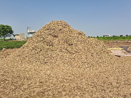 બાવી નંબર માંડવી નો ભૂકો વેચવાનો છ