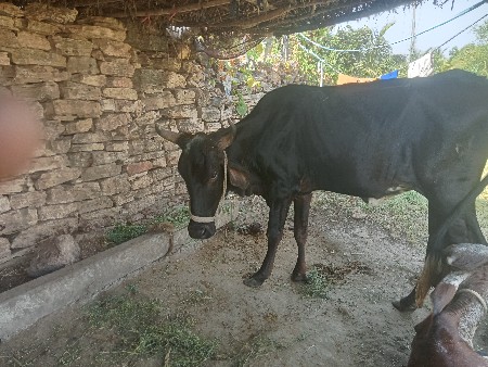 વેચવાની છે