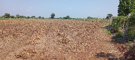 મગફળી નો ભૂકો બોરવેલ