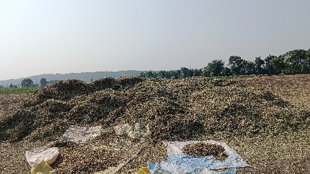 G-20 માંડવીનો ભુકો
