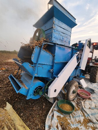 યોગી થેસર ઇમર જંસી વેસવાનુ છે