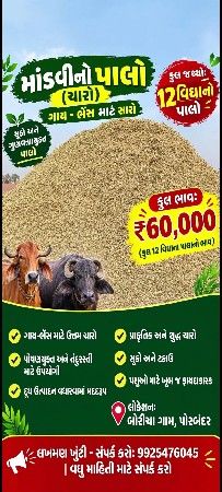 મગફળી ની ભૂકો