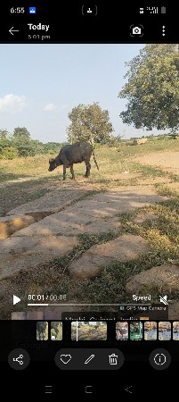ખળેલી વેચવાની છે