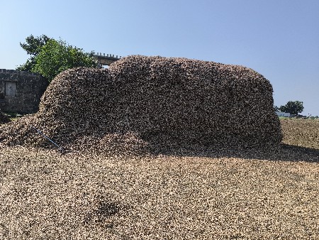 મગફળી નો પાલો વેચવાનો છે
