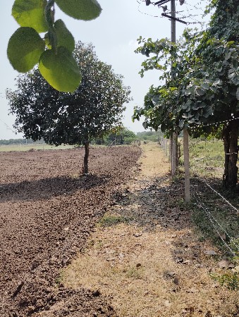 ફુલ પાણી વાળી વેચવાની